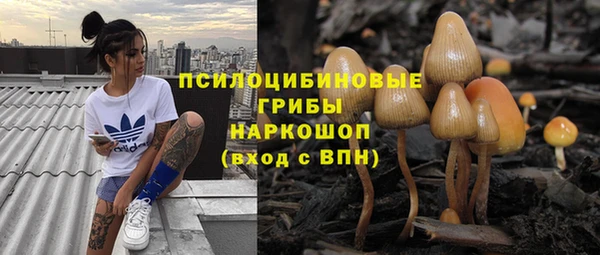 apvp Корсаков